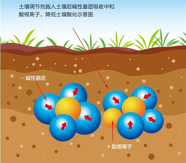 土壤是農業的基礎，保護土壤，從現在開始