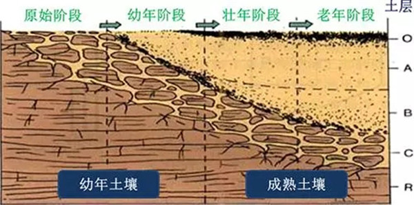 土壤養(yǎng)分檢測儀工作原理、技術(shù)和方法