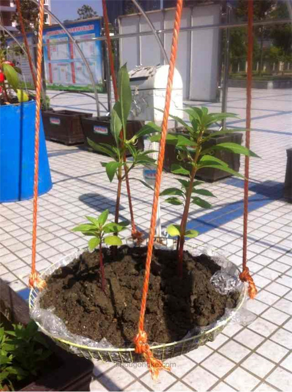 土壤養(yǎng)分檢測儀的報(bào)價(jià)及基本原理技術(shù)